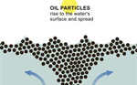 Dispersants on oil spill particles